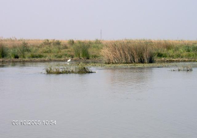 delta rosu 2005 - im000726.jpg